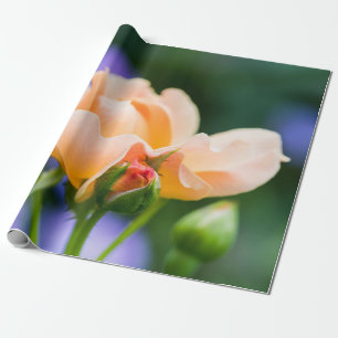 ontluikende begeerte cadeaupapier