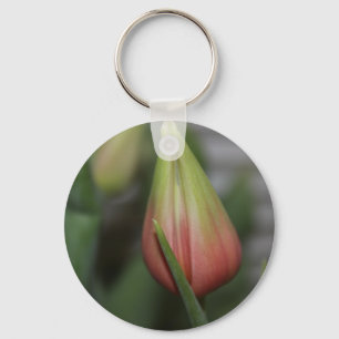 Ontluikende tulp #2 sleutelhanger