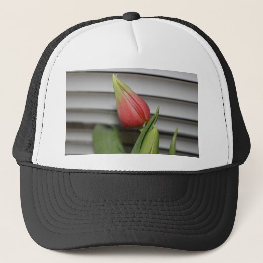 ontluikende tulp trucker pet (Voorkant)