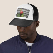 ontluikende tulp trucker pet (In situ)