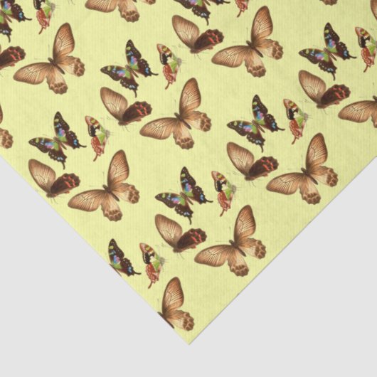 Ontmantelt vlindergelig aangepast weefselpapier tissuepapier (Detail)