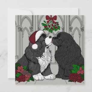 Ontmoet me onder de mistletoe Newfoundland Feestdagenkaart