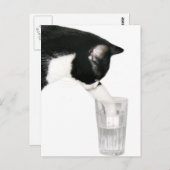 Ontmoet me voor drinken briefkaart (Voorkant / Achterkant)