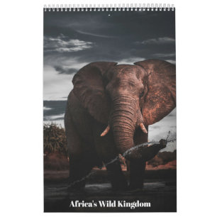 Ontmoetingen in Afrika's Wilde Koninkrijk, Kalende Kalender