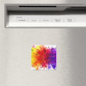 Ontploffing van kleur magneet (Insitu (Vaatwasser))