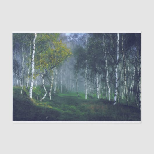 Ontschrooiing van vogelbosolie tissuepapier (Voorkant)