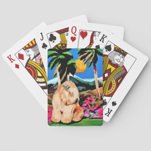 Ontsnap aan de buitengewone speelkaarten (Achterkant)