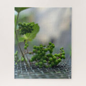 Ontsnappen aan het hek legpuzzel (Verticaal)