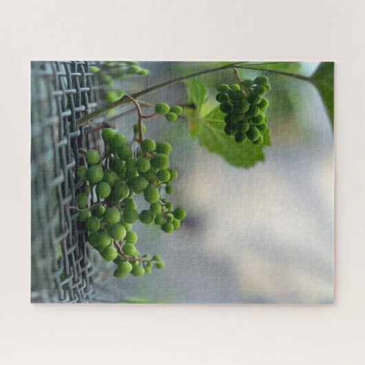 Ontsnappen aan het hek legpuzzel (Horizontaal)