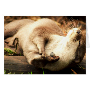 Ontspan en geniet van!