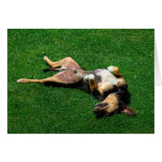 ontspannen (Voorkant Horizontaal)