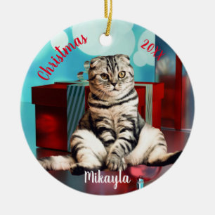 Ontspannen Scottish Fold Kat Kerstmis Keramisch Ornament