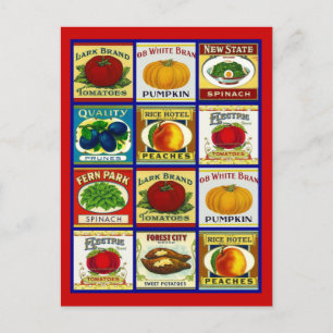 Ontvang het ontwerp van het Briefkaart van de Kaar