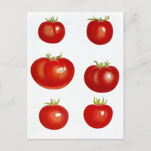 Ontvang het ontwerp van het Briefkaart van de Kaar