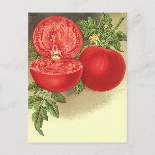 Ontvang het ontwerp van het Briefkaart van de Kaar (Voorkant)