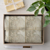 Ontvangstdocument - Kaart van Europa Tissuepapier (Geschenk)