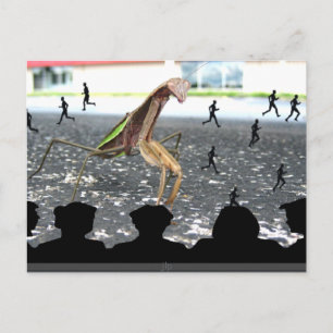 Ontvangsten van de Praying Mantis Briefkaart