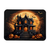 Ontvoerd huis magneet (Horizontaal)