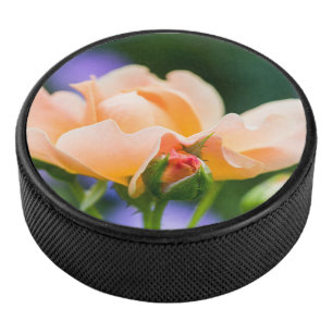 ontvouwen verlangen hockey puck
