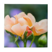 ontvouwen verlangen tegeltje (Voorkant)