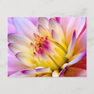 Ontvouwingsventilator Briefkaart