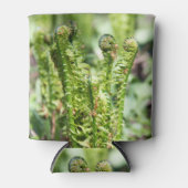 Ontwaakt jonge varen in de tuin   blikjeskoeler (Voorkant)