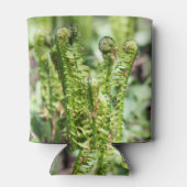 Ontwaakt jonge varen in de tuin   blikjeskoeler (Achterkant)