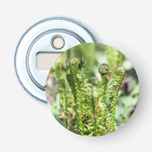 Ontwakende jonge varen in de tuin  button flesopener (Voorkant)