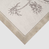 ontwatering van het bodemvruchtendraf tissuepapier (Detail)