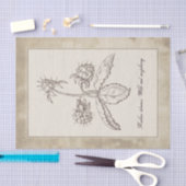 ontwatering van het bodemvruchtendraf tissuepapier (Craft)