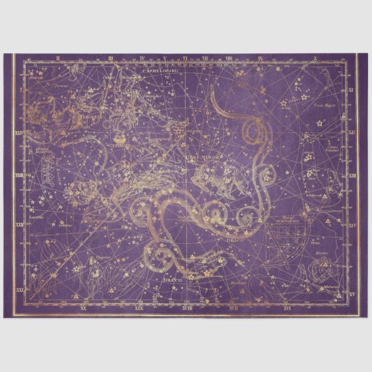 Ontwerp 3 van de Gold Star Map-reeks Tissuepapier (Voorkant)