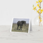 Ontwerp 5 van de Kaart van de Nota van de (Gele Bloem)