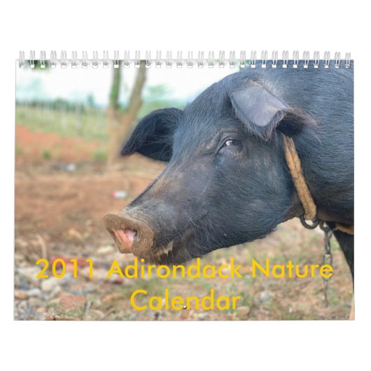 Ontwerp boerderij pingelen kalender (Hoes)
