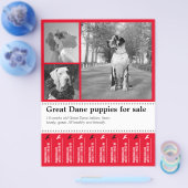 Ontwerp Flyer voor het Verkopen van Puppy (Enkel)