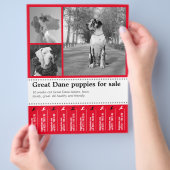 Ontwerp Flyer voor het Verkopen van Puppy (Hand)