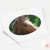 Ontwerp je eigen Custom Photo Stickers Oval Shape (Envelop)