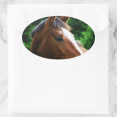 Ontwerp je eigen Custom Photo Stickers Oval Shape (Tas)