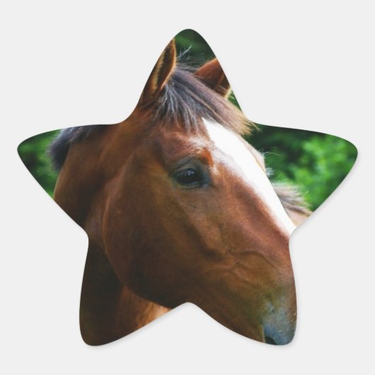 Ontwerp je eigen Custom Photo Stickers Star Shape (Voorkant)