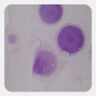 ontwerp-sticker vierkante sticker