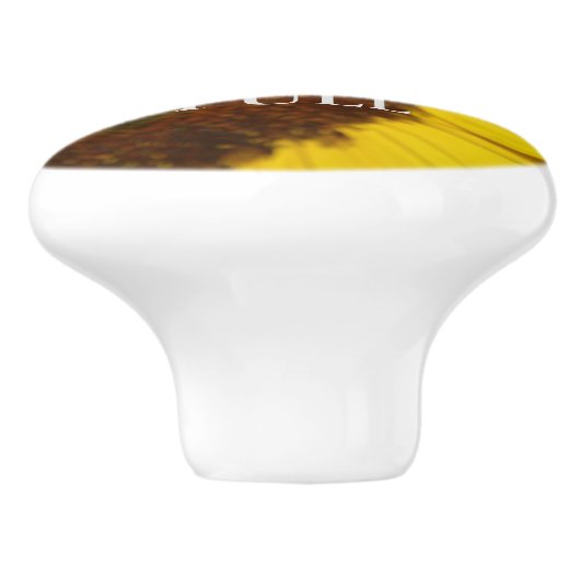 Ontwerp uw eigen keramische pen keramische knop (Zijkant)