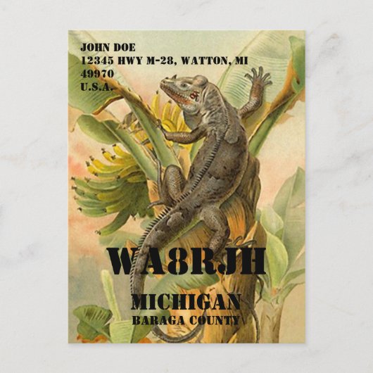 Ontwerp uw eigen QSL HAM Radio Operator op Frog Briefkaart (Voorkant)