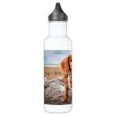 ONTWERP UW EIGEN WATERFLES  (Links)
