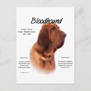 Ontwerp van de bloedige geschiedenis briefkaart
