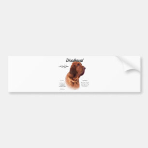 Ontwerp van de bloedige geschiedenis bumpersticker