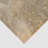 Ontwerp van de Gothic Angel-reeks 3 Tissuepapier (Detail)