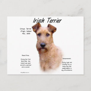Ontwerp van de Ierse geschiedenis van de Terrier Briefkaart