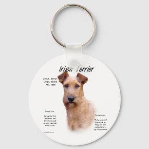 Ontwerp van de Ierse geschiedenis van de Terrier Sleutelhanger