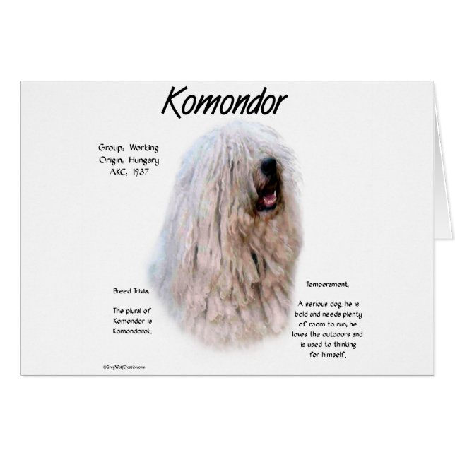 Ontwerp van de Komondor-geschiedenis (Voorkant Horizontaal)