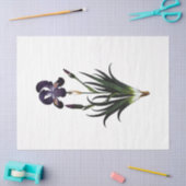 Ontwerp van de koninginnenbijenreeks 62 tissuepapier (Craft)