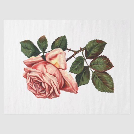 Ontwerp van de koninginnenbijenreeks 63 tissuepapier (Voorkant)